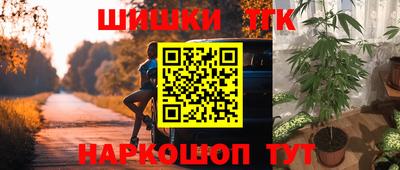 амф Новодвинск