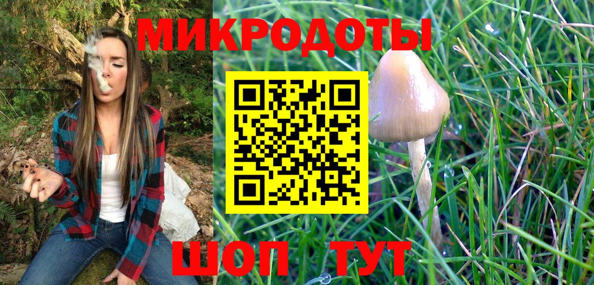 Псилоцибиновые грибы Psilocybine cubensis Будённовск