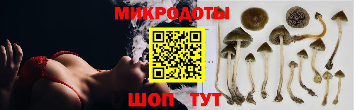 Будённовск  Галлюциногенные грибы GOLDEN TEACHER  Вход с VPN 